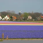 De Blaauboer, Egmond aan Zee