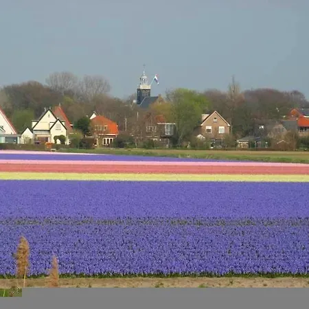 De Blaauboer, Egmond aan Zee