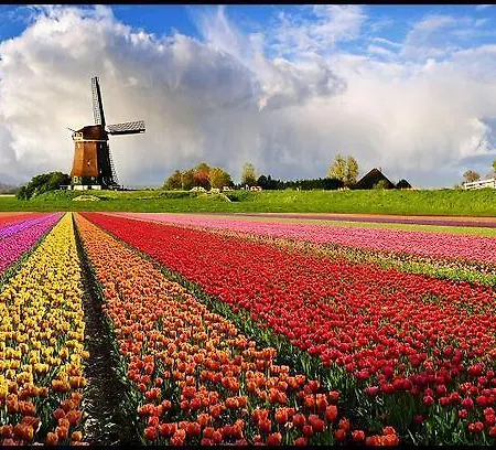 De Blaauboer, Egmond aan Zee