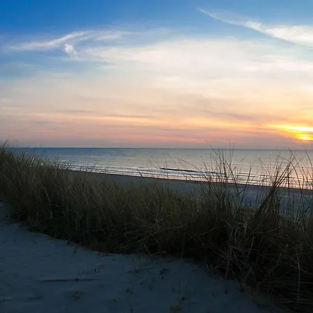 De Blaauboer, ホームステイ