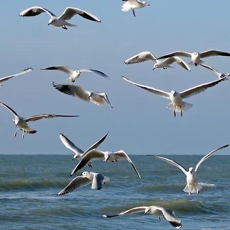 De Blaauboer, Quarto em Acomodações Particulares Egmond aan Zee