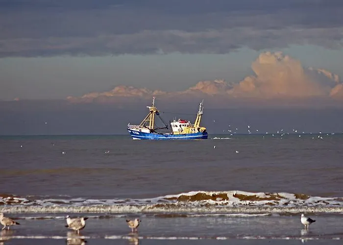 De Blaauboer, * Egmond aan Zee