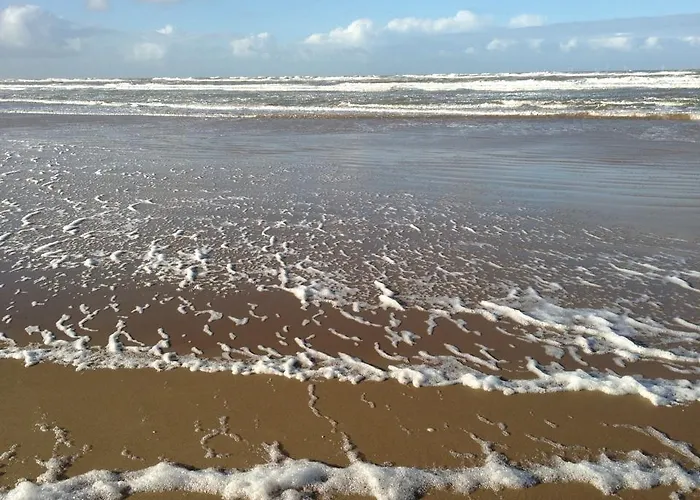 De Blaauboer, Egmond aan Zee