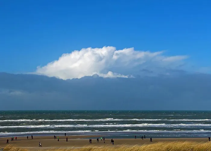 De Blaauboer Проживание в семье