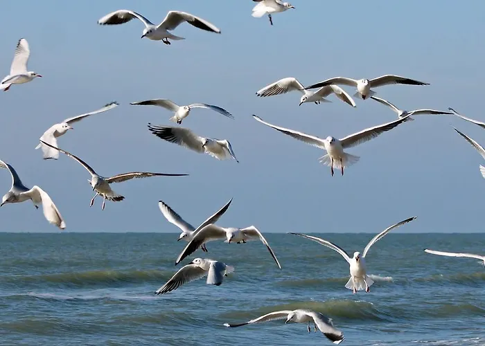 De Blaauboer, Alloggio in famiglia Egmond aan Zee