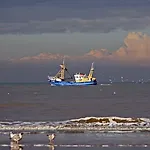 De Blaauboer, * Egmond aan Zee