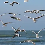 De Blaauboer, Kwatera prywatna Egmond aan Zee