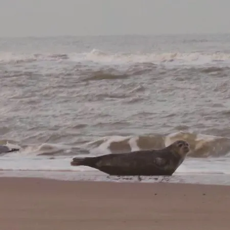 De Blaauboer, Ubytování v soukromí *