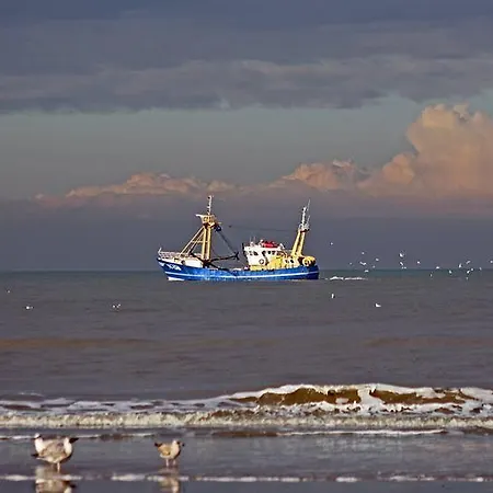 De Blaauboer, * Egmond aan Zee