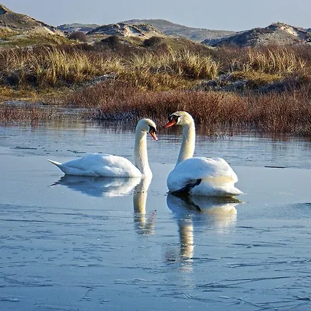 De Blaauboer, Ubytování v soukromí Egmond aan Zee