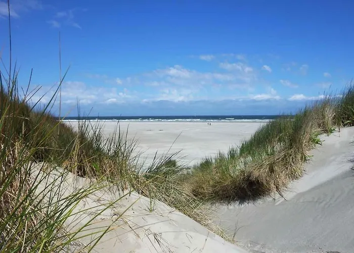 民宿 De Blaauboer,